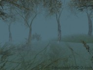 The Fog Forest screensaver screenshot